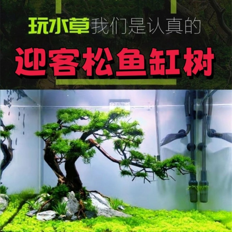 Resin Art And Wood - プロ仕様のエコフレンドリーな木製流木アートフラワーベース、水槽装飾用にカスタマイズ可能なサイズ