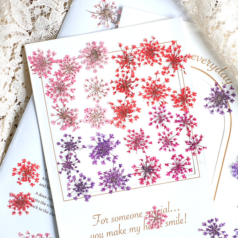 Resin Art For Photo Frame - 24個、2-2.5cm、自然染めミニレース押し花花びら、ドライフラワーDIYネイルアート樹脂ジュエリー花飾りフォトフレーム用品