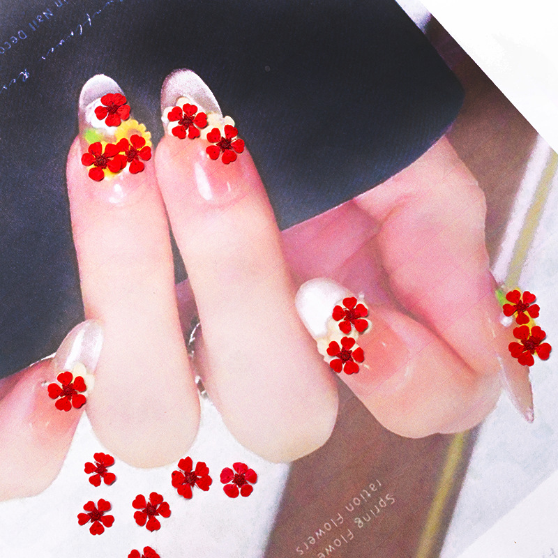 96個入り ミニ1.5cm 天然押し花 カラフルで鮮やかなパ - Resin Art For Photo Frame のレビューと価格