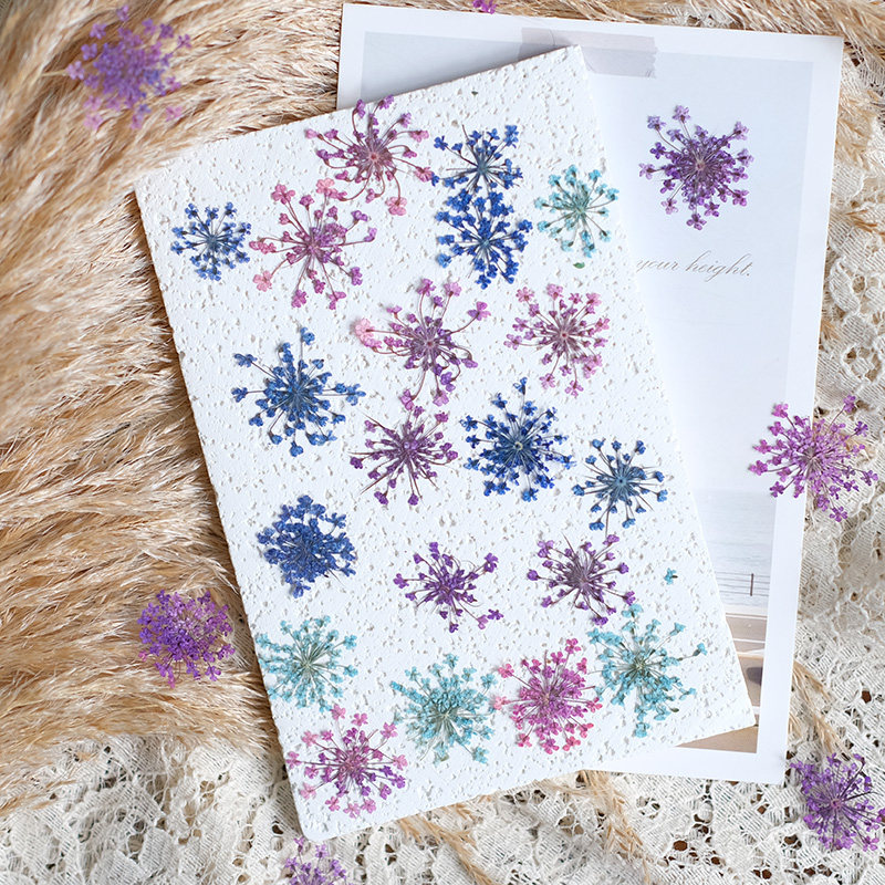 24個、2-2.5cm、自然染めミニレース押し花花びら、ドラ - Resin Art For Photo Frame のレビューと価格